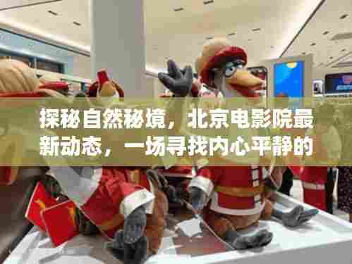 探秘自然秘境与北京电影院最新动态,心灵平静之旅的启程