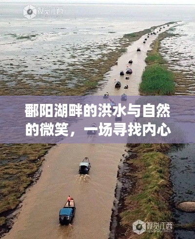 鄱阳湖畔的洪水与自然的微笑,心灵之旅的探寻