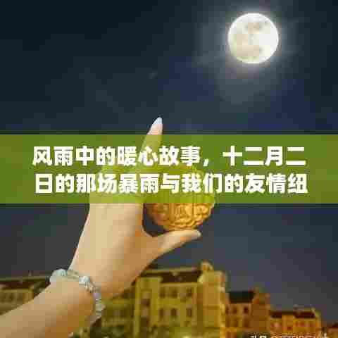 难能可贵 第3页