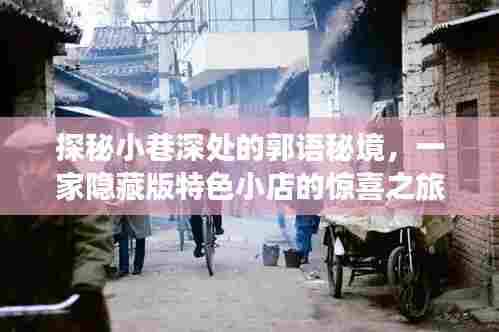 探秘小巷深处的郭语秘境,惊喜之旅,一家隐藏版特色小店的独特风情