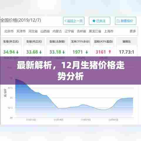 最新解析,12月生猪价格走势预测报告