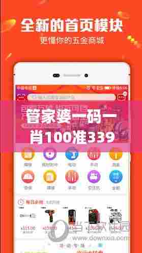 管家婆一码一肖100准339期,实时信息解析说明_Z9.421-5
