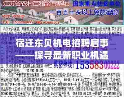 宿迁东贝机电招聘启事,探寻职业机遇的理想之地