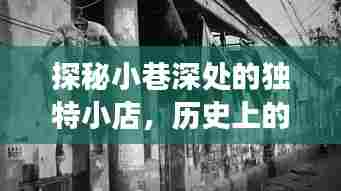 探秘小巷深处的独特小店,揭秘十二月二日的背后故事与男主受虐之旅