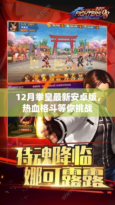 热血拳皇最新安卓版，挑战你的格斗极限