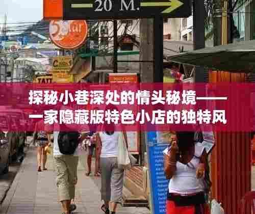 探秘小巷深处的独特风情,隐藏版特色小店的神秘秘境