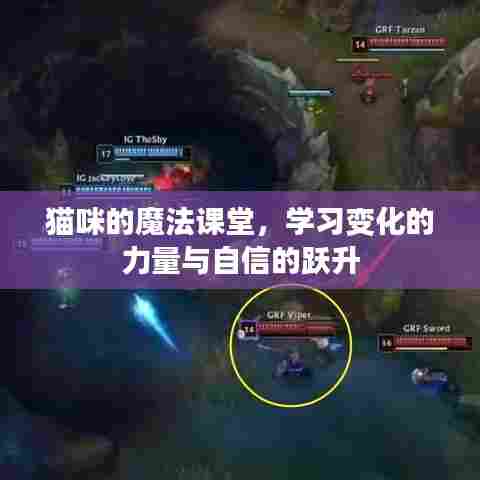 猫咪魔法课堂,掌握力量变化与自信跃升之道