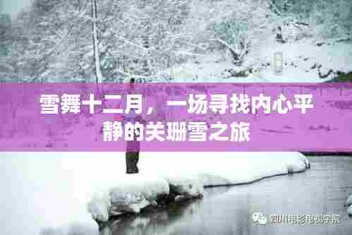 关珊雪之旅，十二月的雪舞与内心平静的追寻