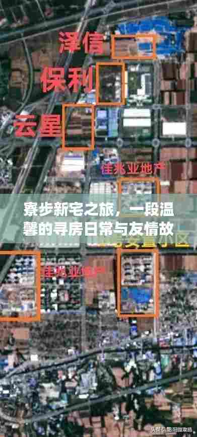 寮步新宅之旅,温馨的寻房日常与友情故事之旅