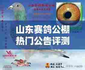 神采奕奕 第4页