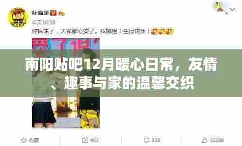 南阳贴吧12月暖心日常,友情、趣事与家的温馨交织时光