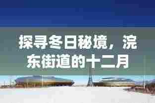 探寻冬日秘境,浣东街道十二月新规划自然之旅启动