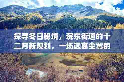 探寻冬日秘境,浣东街道十二月新规划自然之旅启动