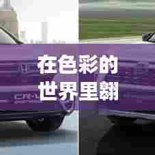 塑胶颜料之旅,色彩世界的翱翔与配色师的励志挑战