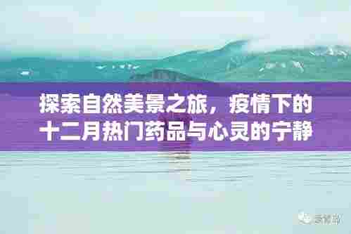 自然探索之旅与疫情下的药品热点,宁静心灵的十二月指南