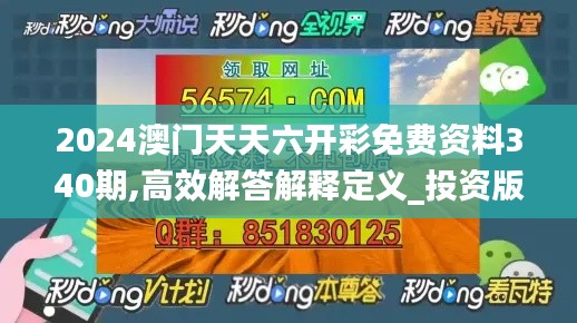 2024澳门天天六开彩免费资料340期,高效解答解释定义_投资版2.976-9