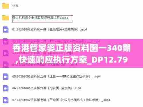 香港管家婆正版资料图一340期,快速响应执行方案_DP12.793-1