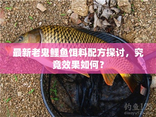 老鬼鲤鱼饵料最新配方深度解析,效果究竟如何?