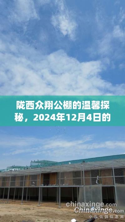 陇西众翔公棚探秘之旅,揭秘2024年12月4日的秘密消息