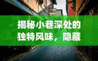 时光深处的独特风味,小巷特色小店与未来pip版本展望