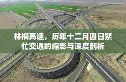 林桐高速十二月四日交通繁忙深度剖析与缩影