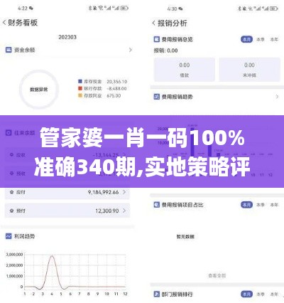 管家婆一肖一码100%准确340期,实地策略评估数据_专属版47.134-7