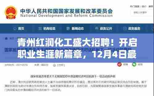 青州红润化工最新招聘启事,开启职业生涯新篇章,12月4日职位信息全解析
