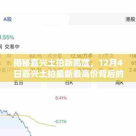 揭秘嘉兴土拍新高度,最新最高价背后的故事揭秘(12月4日)
