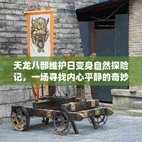 天龙八部维护日探秘自然之旅,寻找内心平静的奇妙旅程