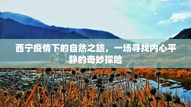 西宁疫情下的自然之旅,内心平静的奇妙探险之旅