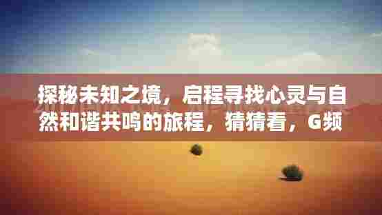 G频道2024年12月4日新发现,探秘心灵与自然和谐共鸣的神秘之旅