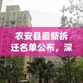 农安县最新拆迁名单揭晓，深度解读背后的故事与细节