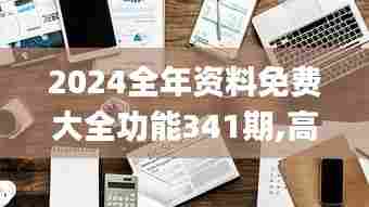 2024全年资料免费大全功能341期,高效执行计划设计_专属款14.554