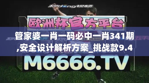 管家婆一肖一码必中一肖341期,安全设计解析方案_挑战款9.403