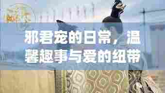 邪君宠的日常,爱的纽带与温馨趣事
