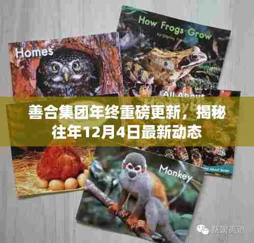 善合集团年终重磅更新揭秘,历年12月4日最新动态回顾