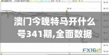 澳门今晚特马开什么号341期,全面数据分析实施_标配版3.147