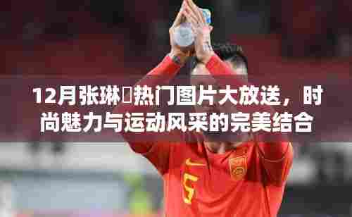 郑重其事 第4页