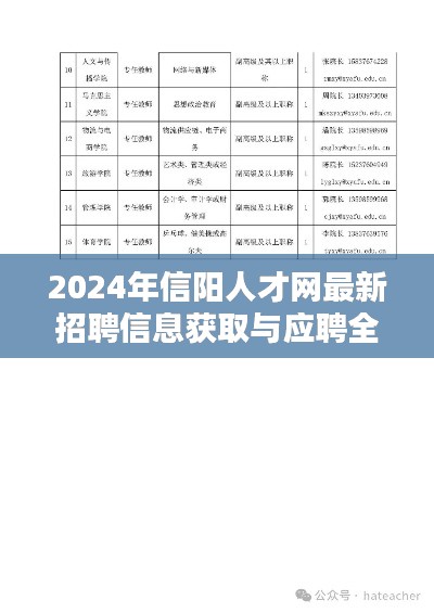 2024年信阳人才网招聘全攻略,最新信息获取与应聘技巧(适合初学者与进阶用户)