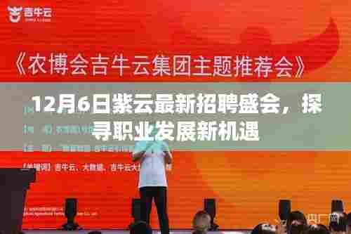 紫云最新招聘盛会，探寻职业发展新起点