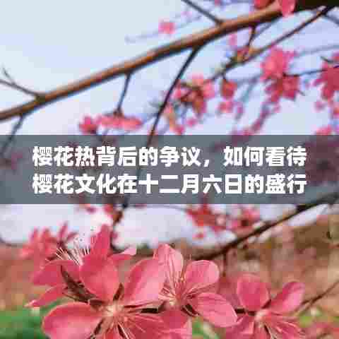 樱花热背后的争议，如何看待樱花文化在特定日期的盛行现象