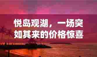 悦岛观湖,冬日惊喜价格与温馨故事之旅