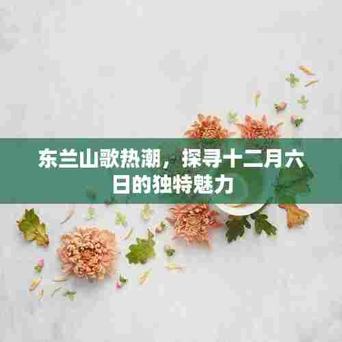 东兰山歌热潮,探寻十二月六日的独特魅力之旅