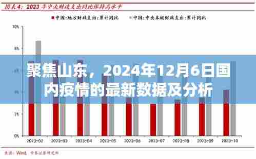 山东疫情聚焦，2024年12月6日最新数据与深度分析