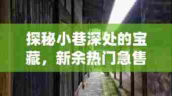 探秘小巷深处的宝藏，新余热门急售二手房与独特小店全攻略