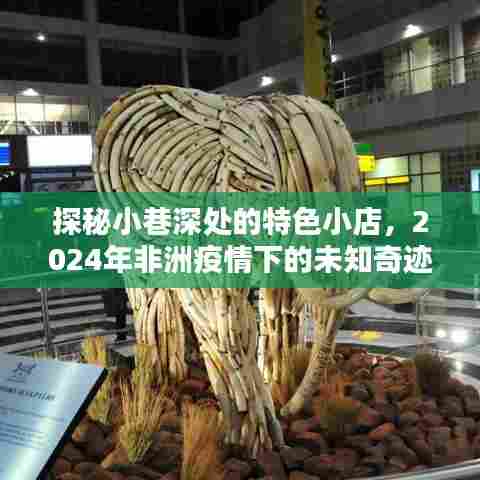 探秘小巷特色小店,非洲疫情下的未知奇迹之旅