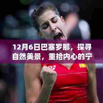 探寻自然美景，重拾内心宁静与平和——巴塞罗那之旅（12月6日）