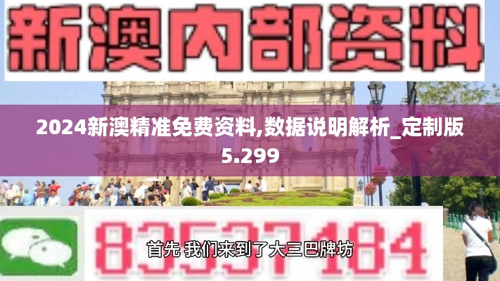 2024新澳精准免费资料,数据说明解析_定制版5.299