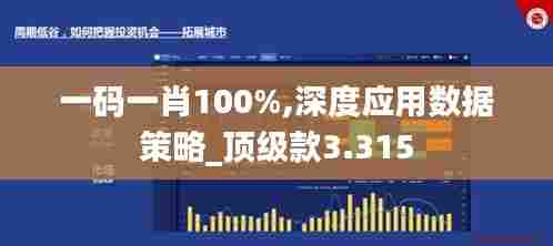 一码一肖100%,深度应用数据策略_顶级款3.315