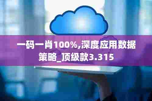 一码一肖100%,深度应用数据策略_顶级款3.315